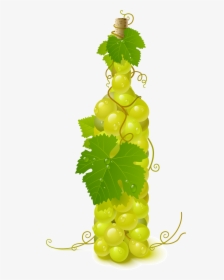 Wine Common Grape Vine - Grapes In A Bottle, HD Png Download, Free Download