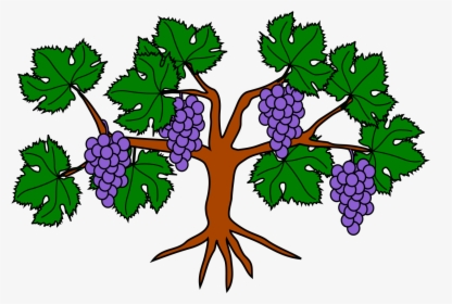Grape Vine Coat Of Arms, HD Png Download, Free Download
