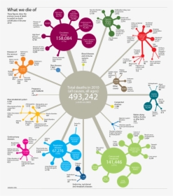 Epidemiology Infographic, HD Png Download, Free Download