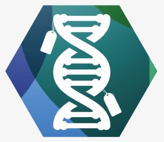 Dna Clipart Epigenetics - Epigenetics Png, Transparent Png, Free Download