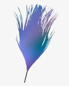 Peacock Feather Png Image With Transparent Background - Illustration, Png Download, Free Download