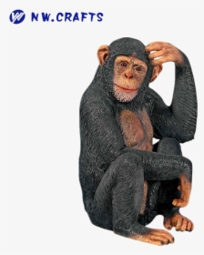 Clip Art Chimp Scratching Head - Transparent Background Monkey Png, Png Download, Free Download