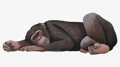 Chimpanzee Jungle Animal Wall Decal Sticker - Wall Decal, HD Png Download, Free Download