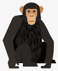 Graphic Royalty Free Chimpanzee Monkey Orangutan Black - Chimpanzee Graphic, HD Png Download, Free Download