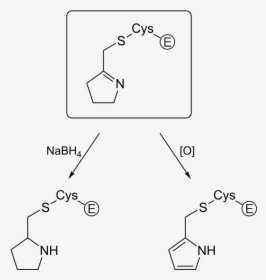Diagram, HD Png Download, Free Download
