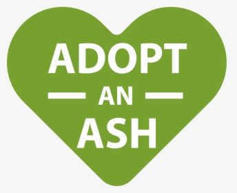Adopt An Ash - Heart, HD Png Download, Free Download