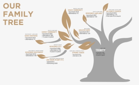 Rp Family Tree19 - Graphic Design, HD Png Download, Free Download