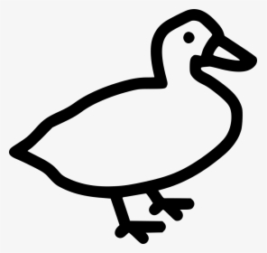 Goose Fowl Bird Poultry - Portable Network Graphics, HD Png Download, Free Download