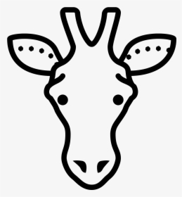 Giraffe Head Png - Animal Png Image Icons, Transparent Png, Free Download