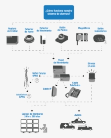 Diagram, HD Png Download, Free Download