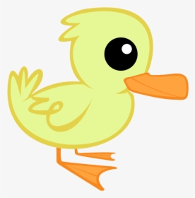 Bird,beak,duck,ducks, Geese And Swans,water Bird,yellow,cartoon,clip - Duck, HD Png Download, Free Download