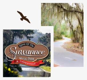 Rally 2 Live Oak Florida - Spirit Of Suwannee River, HD Png Download, Free Download