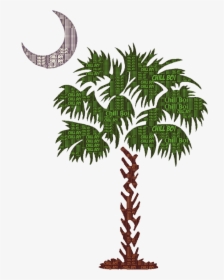 Sabal Palm Myrtle Beach Palm Trees Decal Charleston - South Carolina Palm Tree, HD Png Download, Free Download