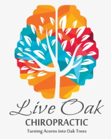 Live Oak Chiropractic - Vector Brain Tree Logo, HD Png Download, Free Download
