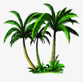 Palm Tree Emoji Transparent - Transparent Palm Tree Emoji, HD Png Download, Free Download