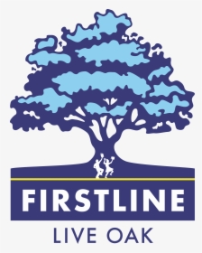 Firstline Live Oak, HD Png Download, Free Download
