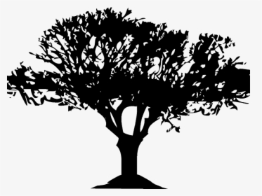 Bush Clipart Bunch Tree - Jungle Tree Silhouette, HD Png Download, Free Download