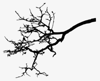 Free Png Tree Branch Silhouette Png Images Transparent - Tree Branch Silhouette Png, Png Download, Free Download