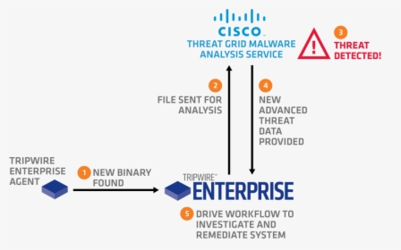 Cisco Amp Threat Grid, HD Png Download, Free Download