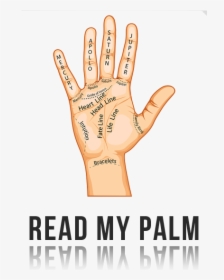 3 Major Lines On Your Palm, HD Png Download, Free Download