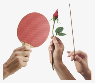 Hands, Hand, Palm, Brush, Ping Pong, Table Tennis, - Rose, HD Png Download, Free Download