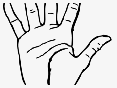 Transparent Wrist Clipart - Hand Creases, HD Png Download, Free Download