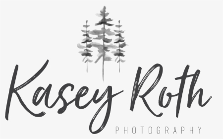 Tree Logo Photography Pnw, HD Png Download, Free Download