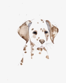 Dalmatian Dog Watercolor Painting Drawing Illustration - Water Color Dog No Background, HD Png Download, Free Download