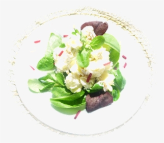 Potato Salad Lots Of Potato Salad Ideas Here - Garden Salad, HD Png Download, Free Download