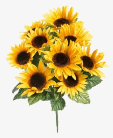 Flores De Girasol Png, Transparent Png, Free Download