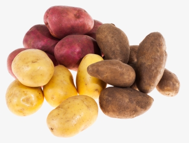 Potato Salad - Russet Burbank Potato, HD Png Download, Free Download