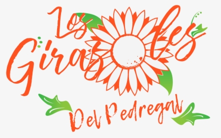 Logotipo De Los Girasoles, HD Png Download, Free Download