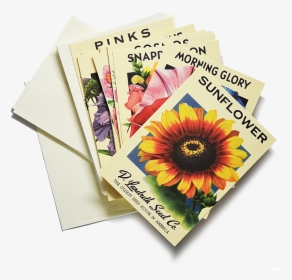 Heirloom Flower Seed Packet Note Cards $22 Girasoles, - Put In Goodie Bags For 15 Year Olds, HD Png Download, Free Download