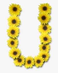 Flower Clipart Letter N - Letter U With Sunflowers, HD Png Download, Free Download