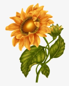 October 2015 « Archive - Real Sunflower Transparent Background Red Sunflower, HD Png Download, Free Download