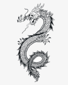 Dragon Vector Art 1 W/o Text - Tattoo Dragon Png, Transparent Png, Free Download