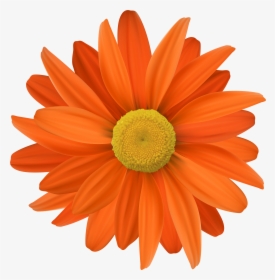 Transparent Png Clip Art - Transparent Background Orange Flower Png, Png Download, Free Download