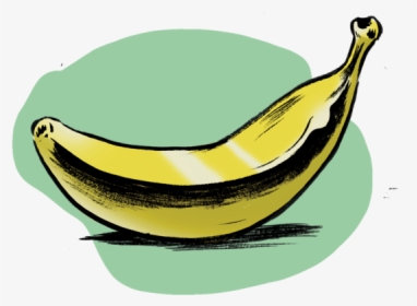 Realfakecrispr21 - Saba Banana, HD Png Download, Free Download