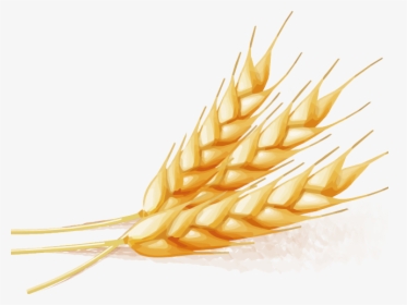 wheat clipart vector free