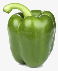 Mobirise - Sweet Pepper Green, HD Png Download, Free Download