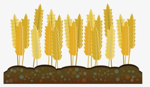 Abstract Crops Wheat 555px - Crops Clipart Transparent Background, HD Png Download, Free Download