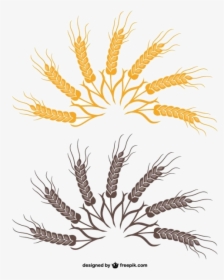 Wheat Clipart Images Vectors Free Vector Art Transparent - Illustration, HD Png Download, Free Download
