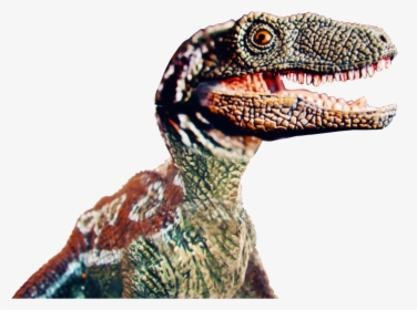 In Our Campaign We Show How Old Spice Will Allow You - Velociraptor, HD Png Download, Free Download