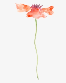 Watercolour Flowers Painting Flowers Transparent Watercolor - Poppy Flower Transparent, HD Png Download, Free Download