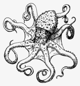 Octopus Drawing Transparent Png Clipart Free Download - Octopus Drawing Png, Png Download, Free Download