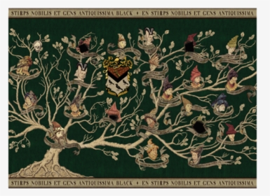 Harry Potter Black Family Tree, HD Png Download, Free Download