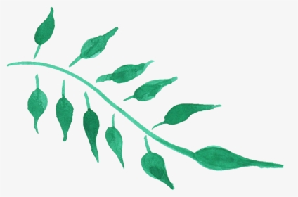 Free Green Leaf Watercolor Png , Png Download - Watercolor Plant Tumblr Png, Transparent Png, Free Download