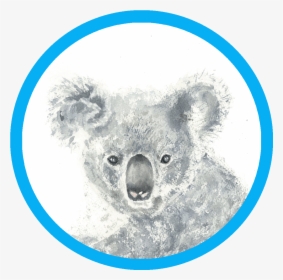 Transparent Blue Mist Png - Itunes, Png Download, Free Download
