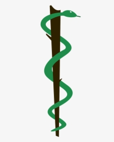 Brazilian Medicine Symbol - Green Snake Medicine Logo, HD Png Download, Free Download