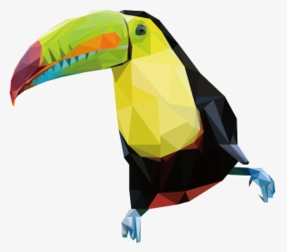 Parrot - Toucan, HD Png Download, Free Download